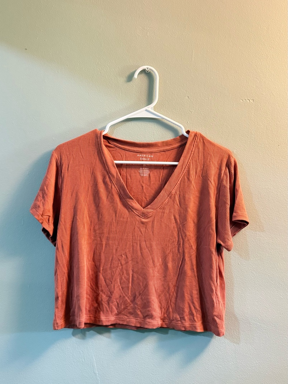 American Eagle Outfitters Cropped V-Neck Tee in Rust